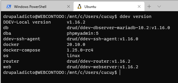 ddev version