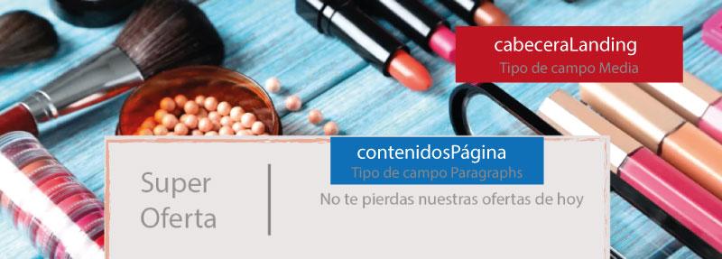 Curso Landing Drupal 9 | www.drupaladicto.com - Consultor especializado en Drupal y Symfony